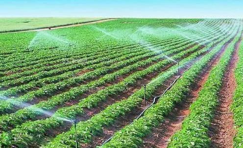 美女的大逼免费看农田高 效节水灌溉
